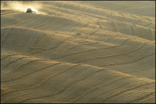 Rolling Harvest