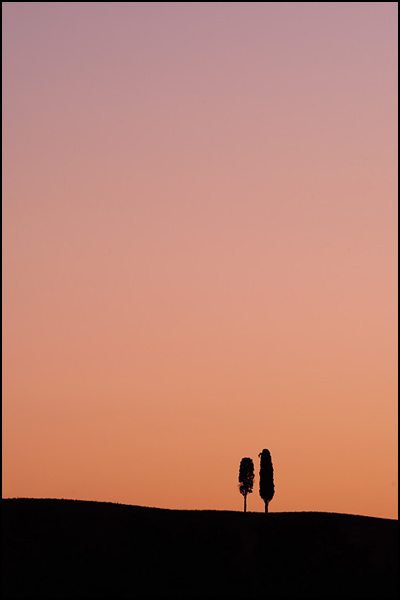 Sentinals