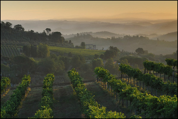 Sunrise nr San Gimignano 