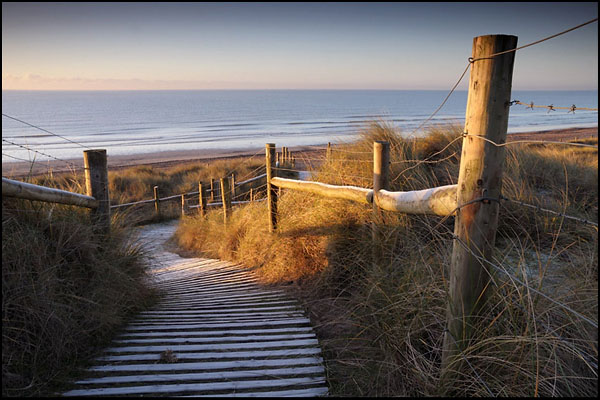 Dune Path