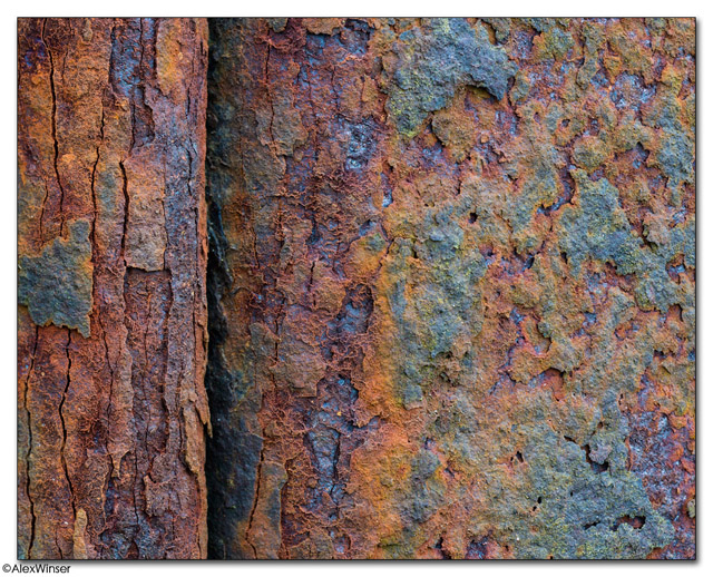 Beauty in Rust