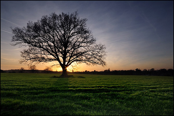 Sussex Sunset