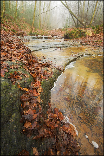 Roosthole Brook