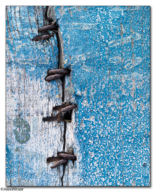 Frankenblue