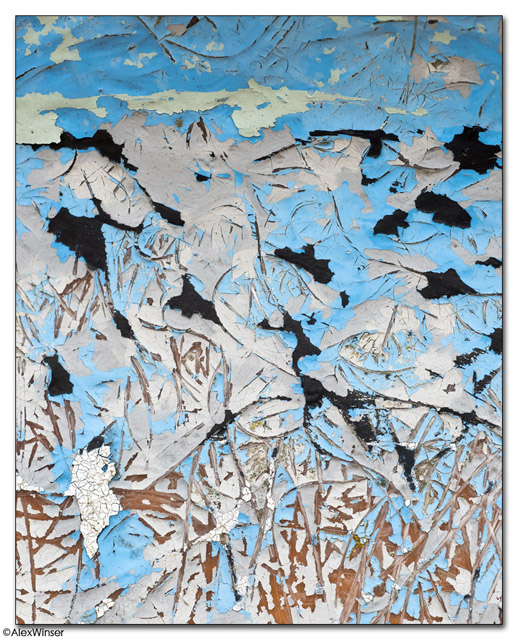 Winter Storks