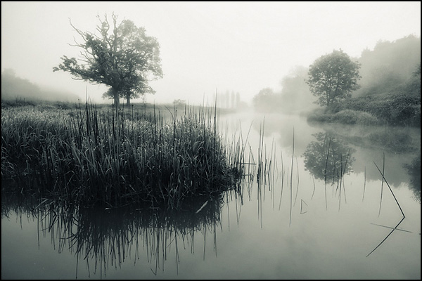 Misty Dawn