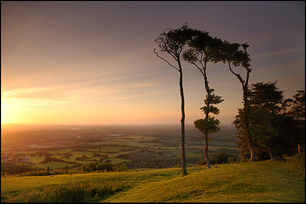 Chanctonbury Ring