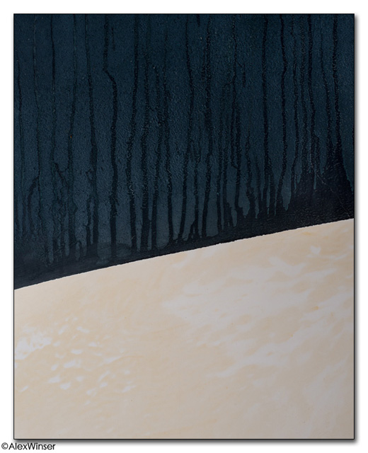 Dark Forest
