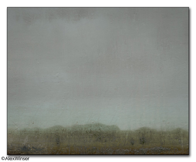 Grimey Landscape