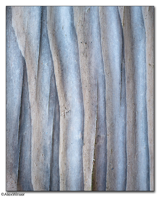 Grained