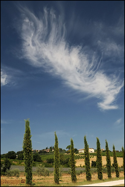 The Cloud