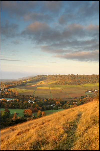 Sunrise over Denbies