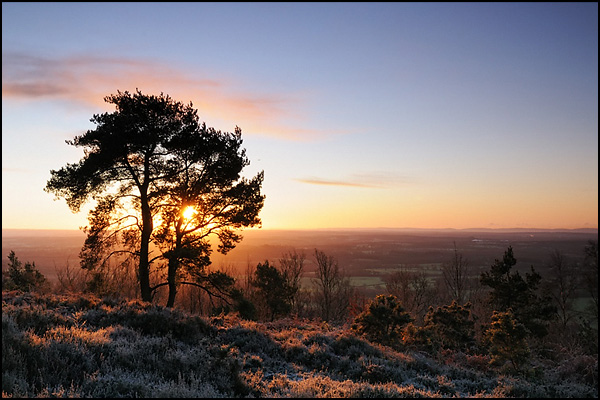 Leith Hill Sunrise