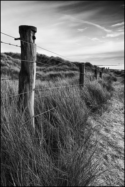 Dune Fence
