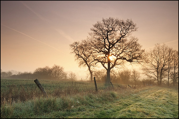 Kingsfold Sunrise