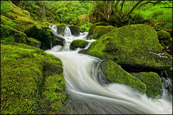Golitha Falls