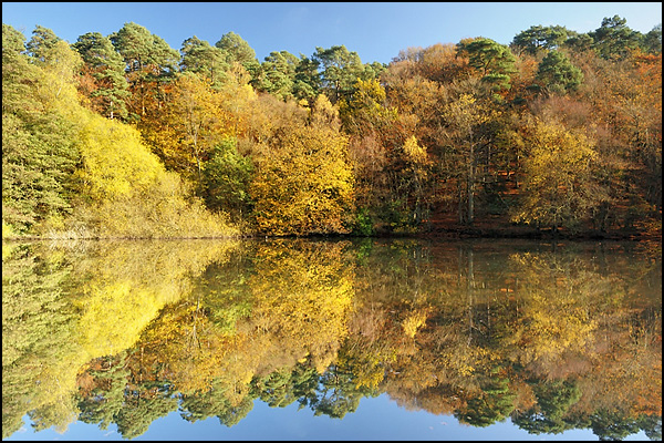 Reflected Autumn