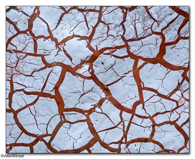 Cracked Amber